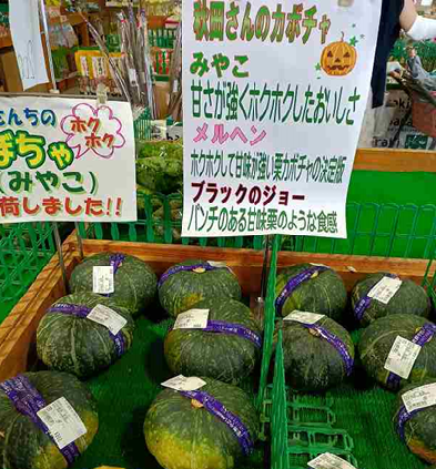 画像を挿入してください